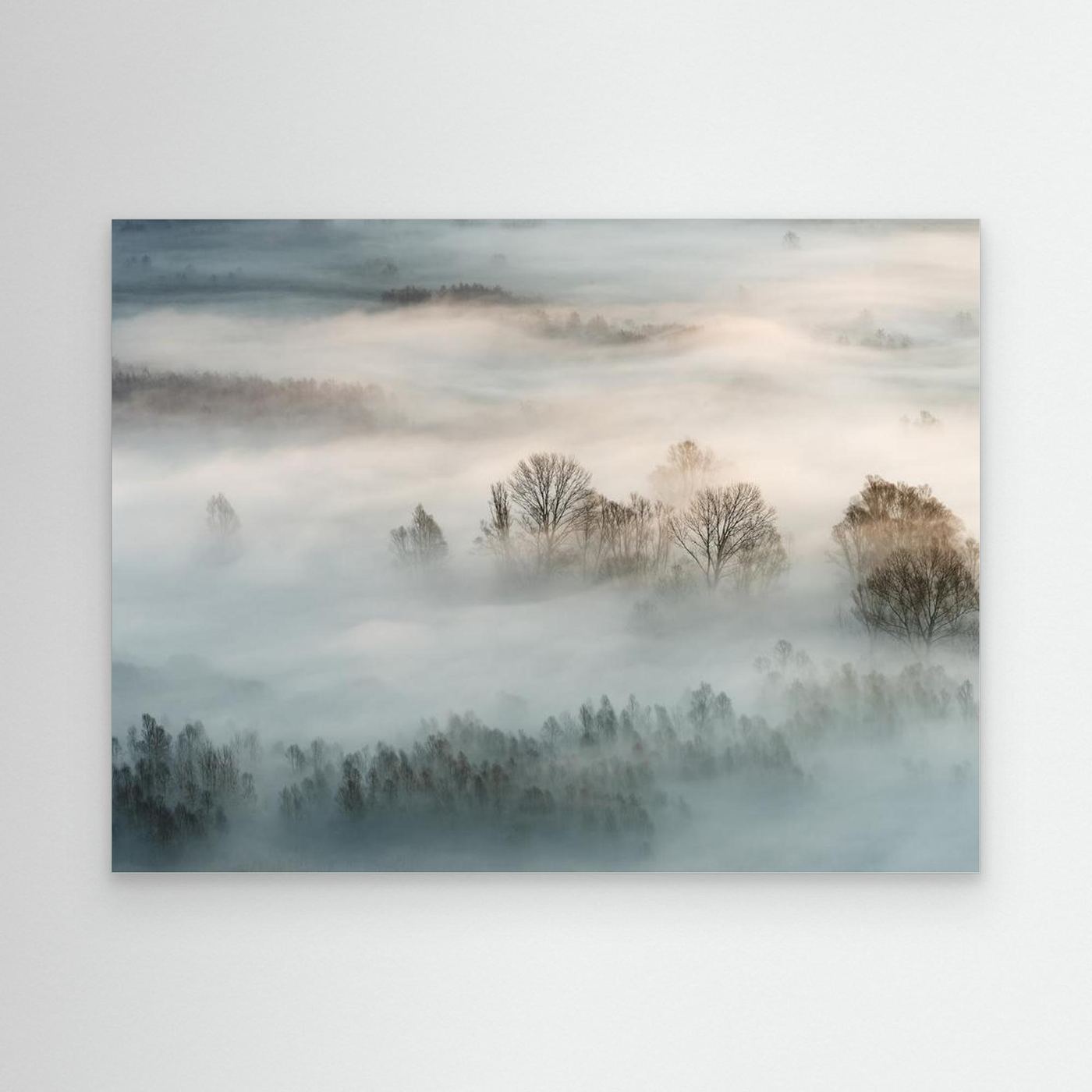 Winter fog by Marco Galimberti