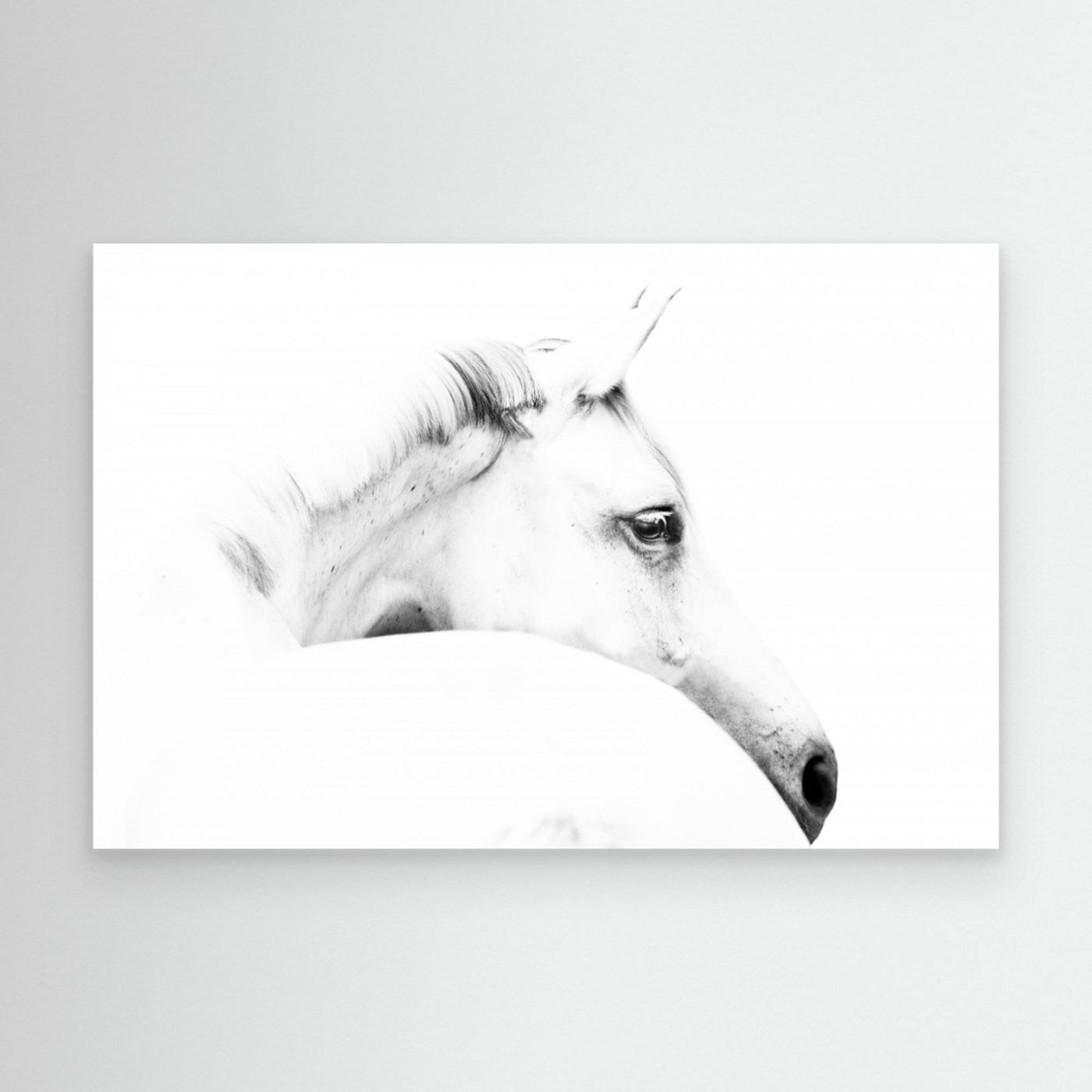horse and minimalism by Ulrike Leinemann