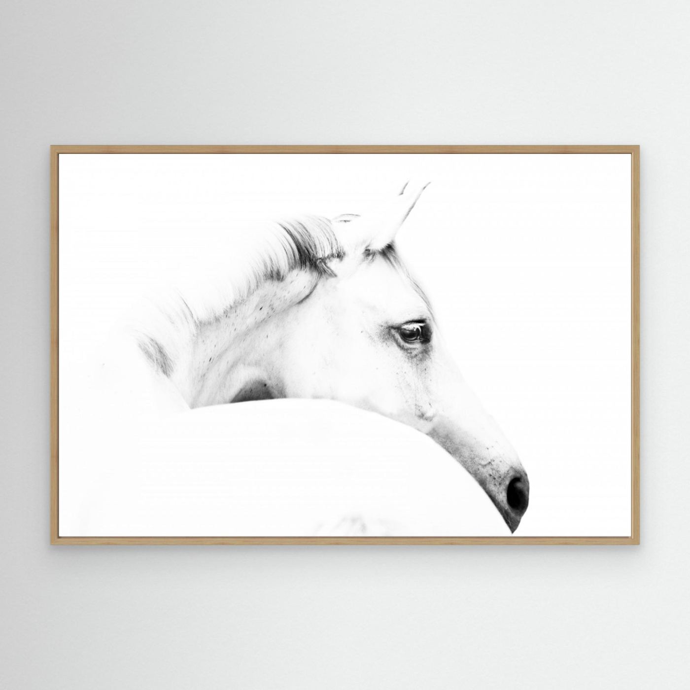 horse and minimalism by Ulrike Leinemann