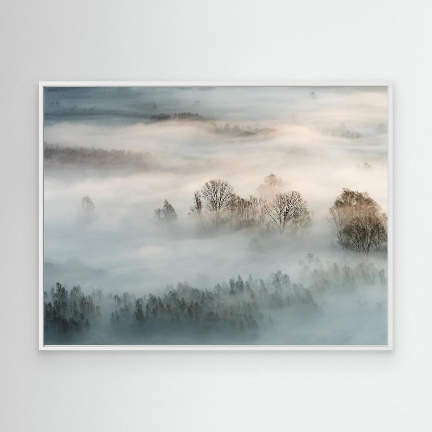 Winter fog by Marco Galimberti