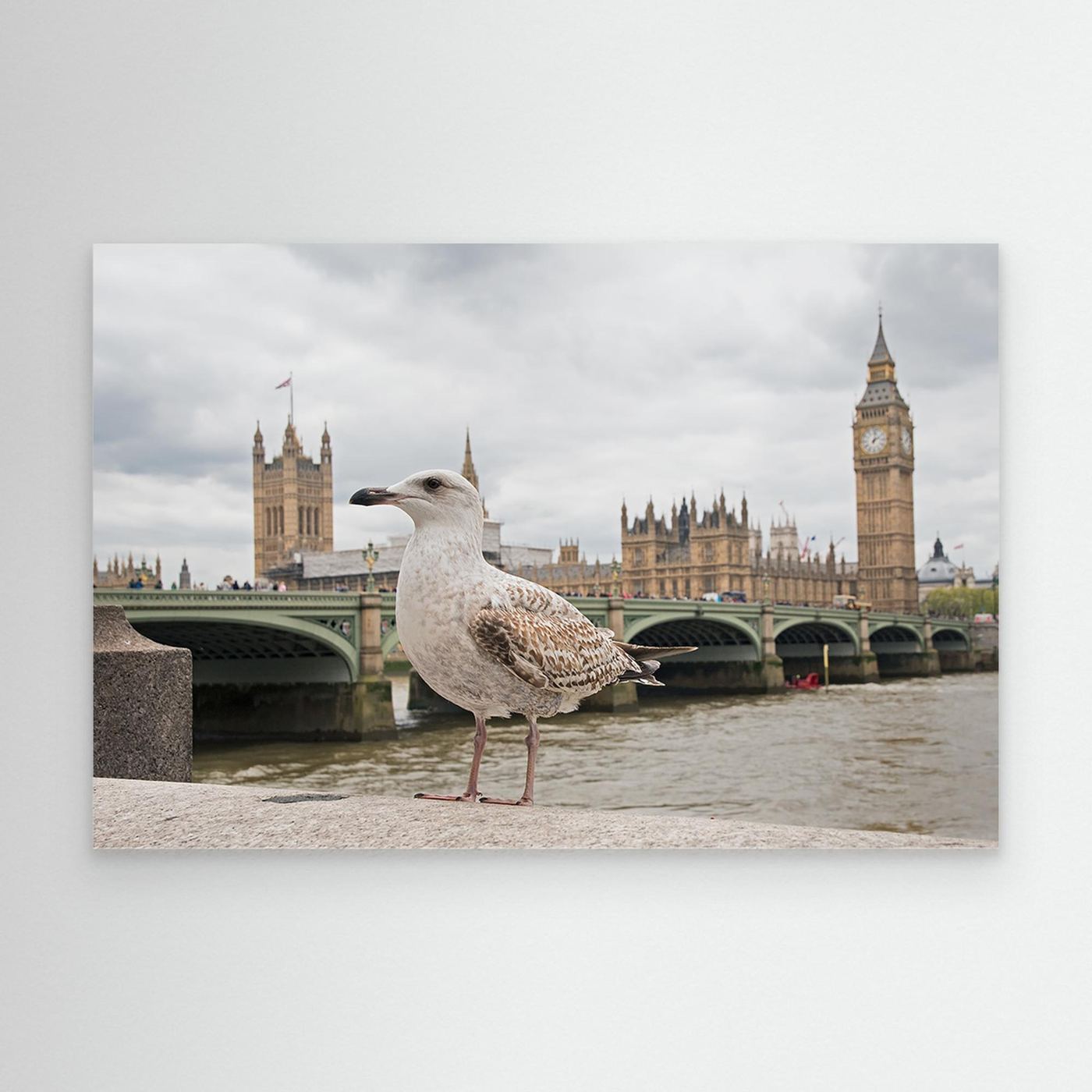 The Guardian by Marco Pozzi