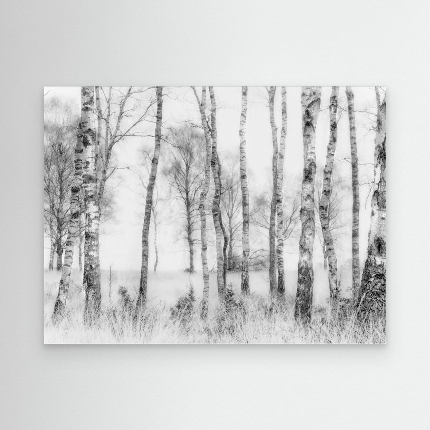 Black and white by Nel Talen