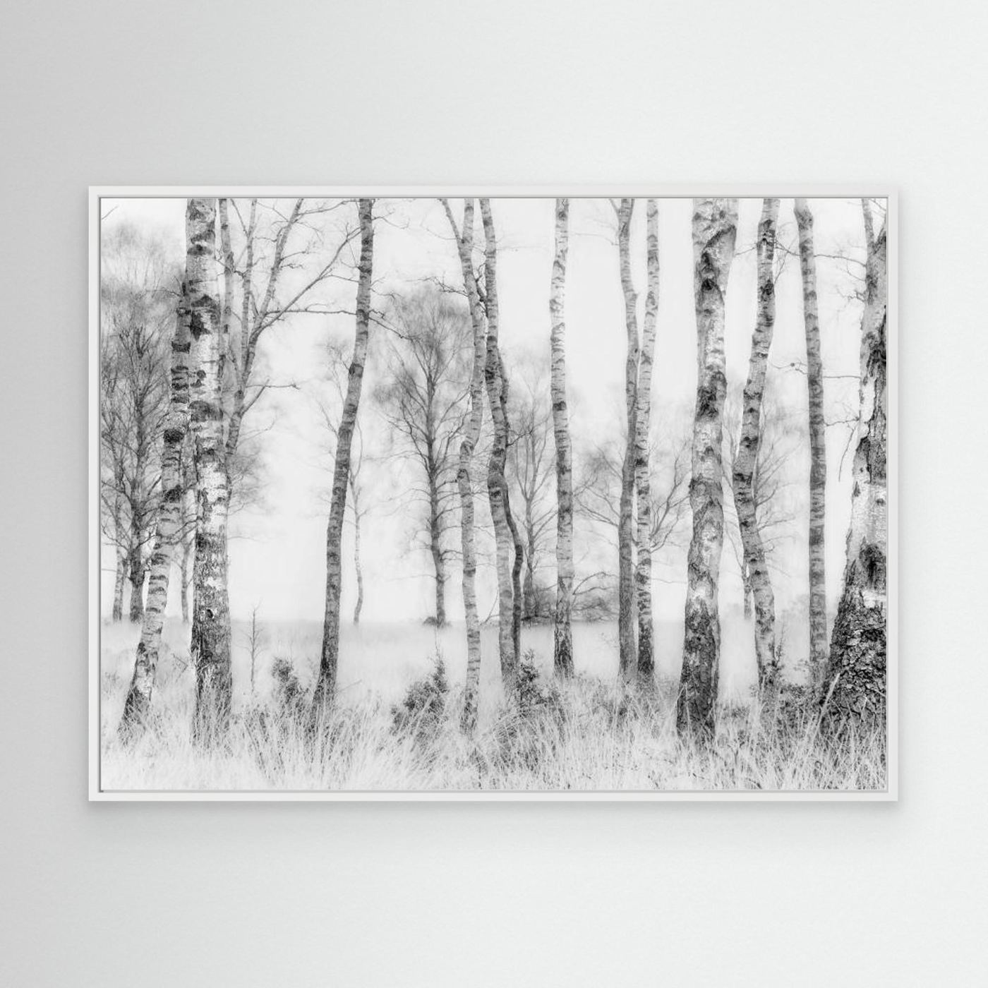 Black and white by Nel Talen