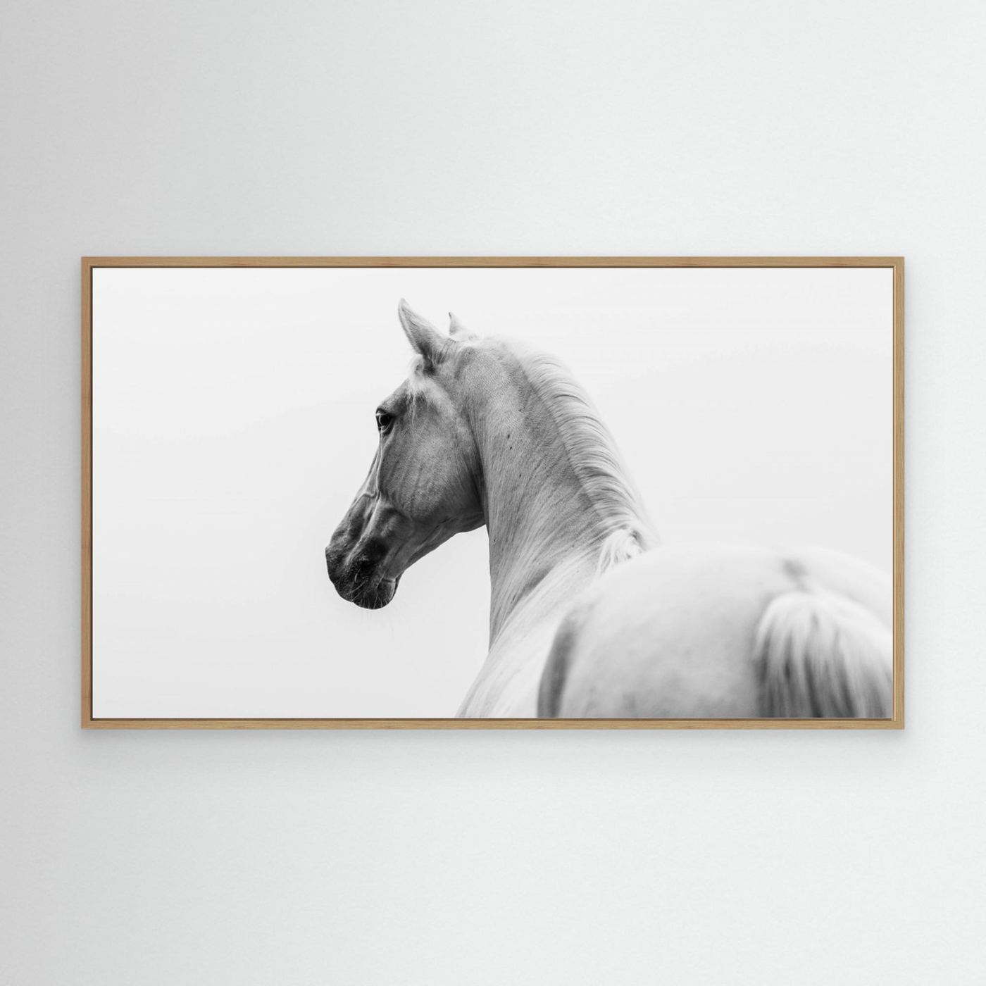 a short story about a shorn horse by Cembrzynski Ignacy