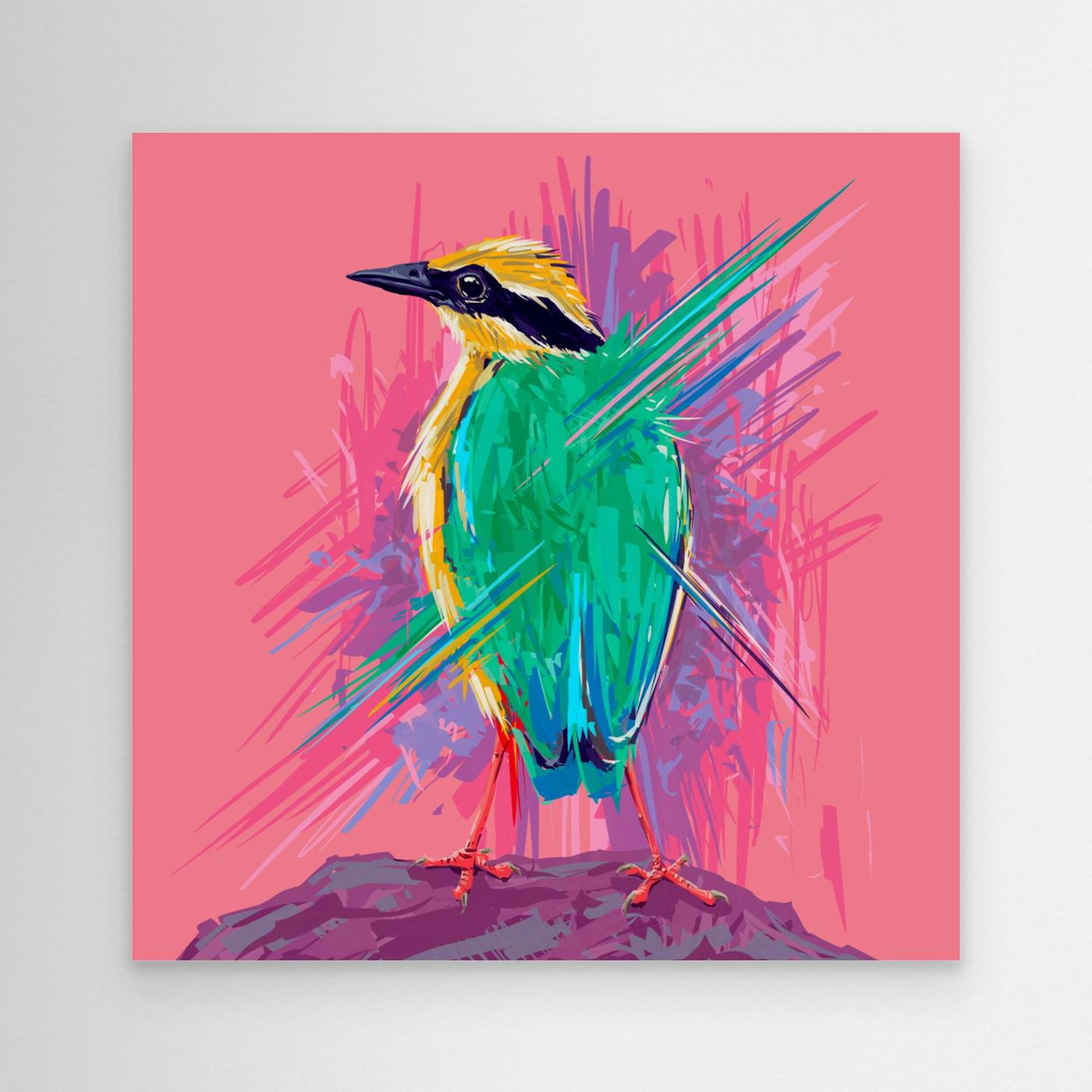 Bird Series Indian Pitta by Rohan Dahotre