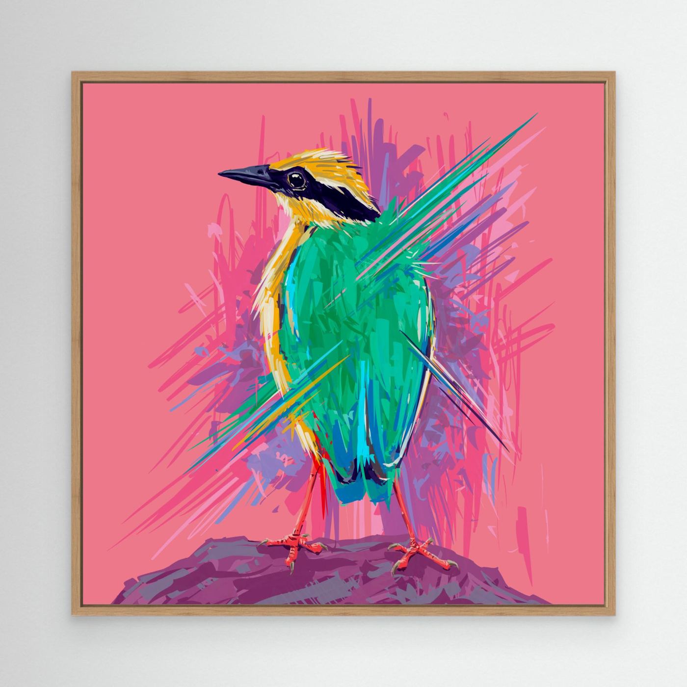 Bird Series Indian Pitta by Rohan Dahotre