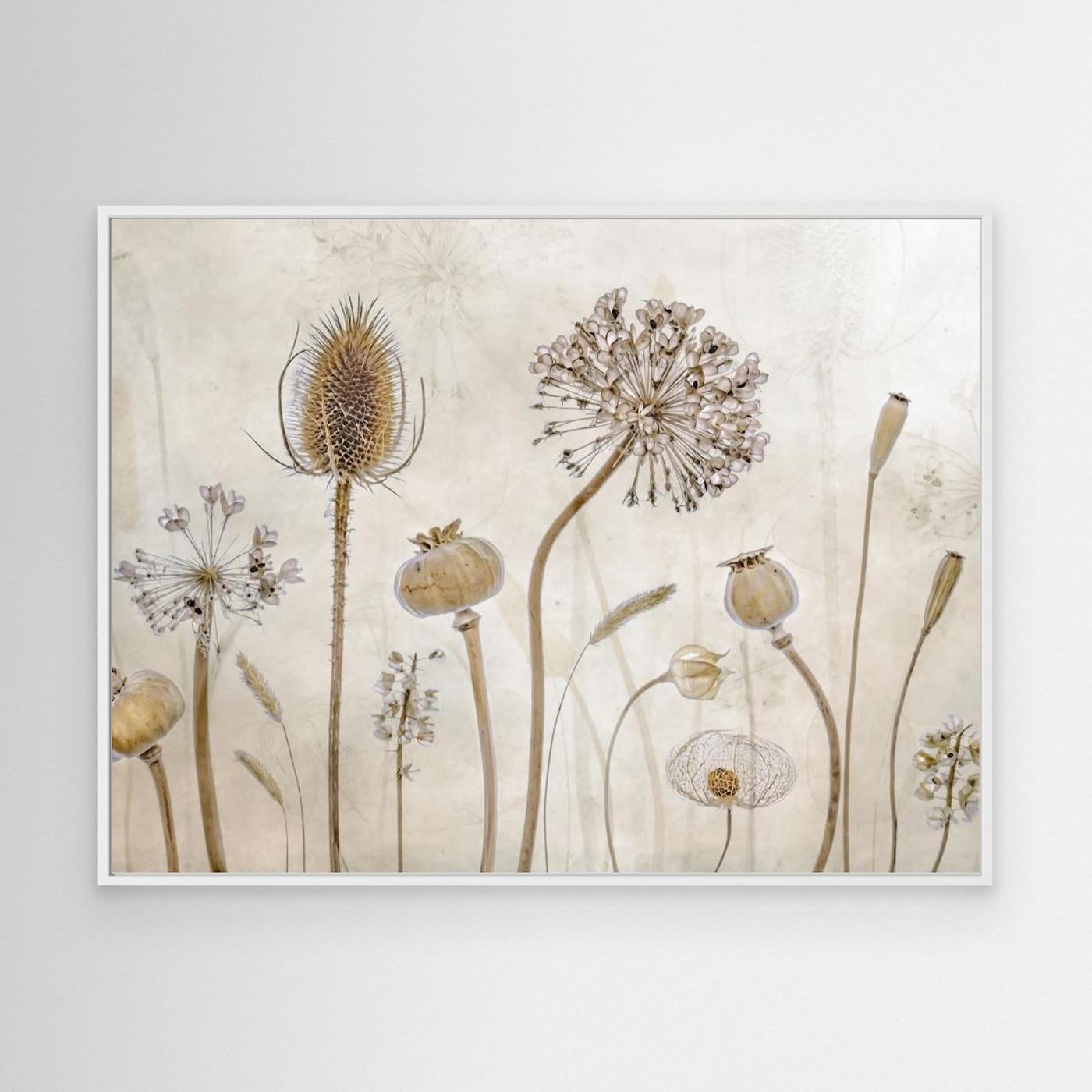 Growing old by Mandy Disher